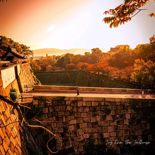 Joy from the Jail House Art Cover